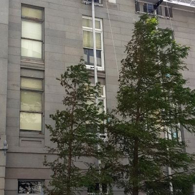 Single Power Mast on 2 meter platform